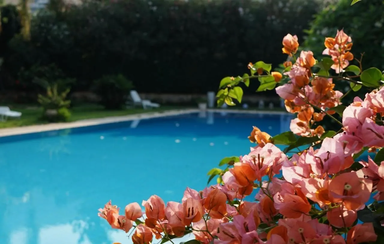 Villa Megna - Green Paradise B&B Palermo 0*,