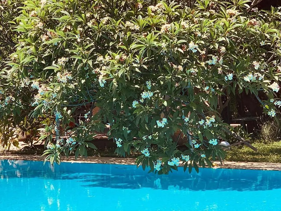 Villa Megna - Green Paradise B&B Palermo 0*,