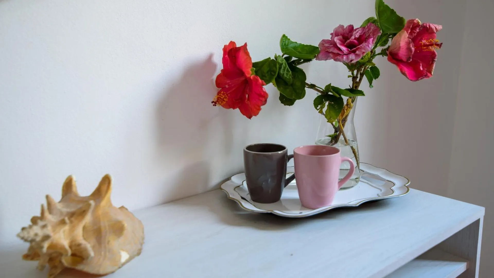Villa Megna - Green Paradise B&B Palermo
